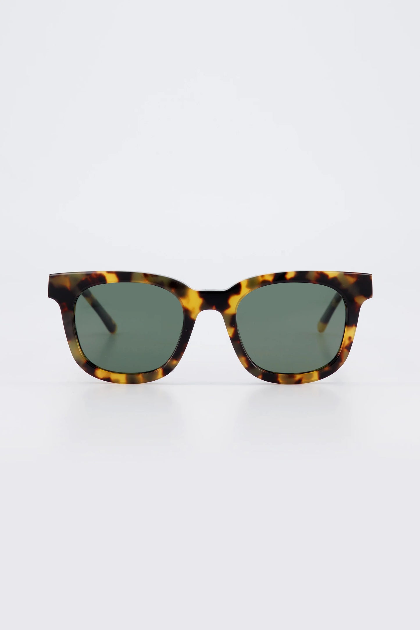 Eugene - Tortoise | Isle of Eden